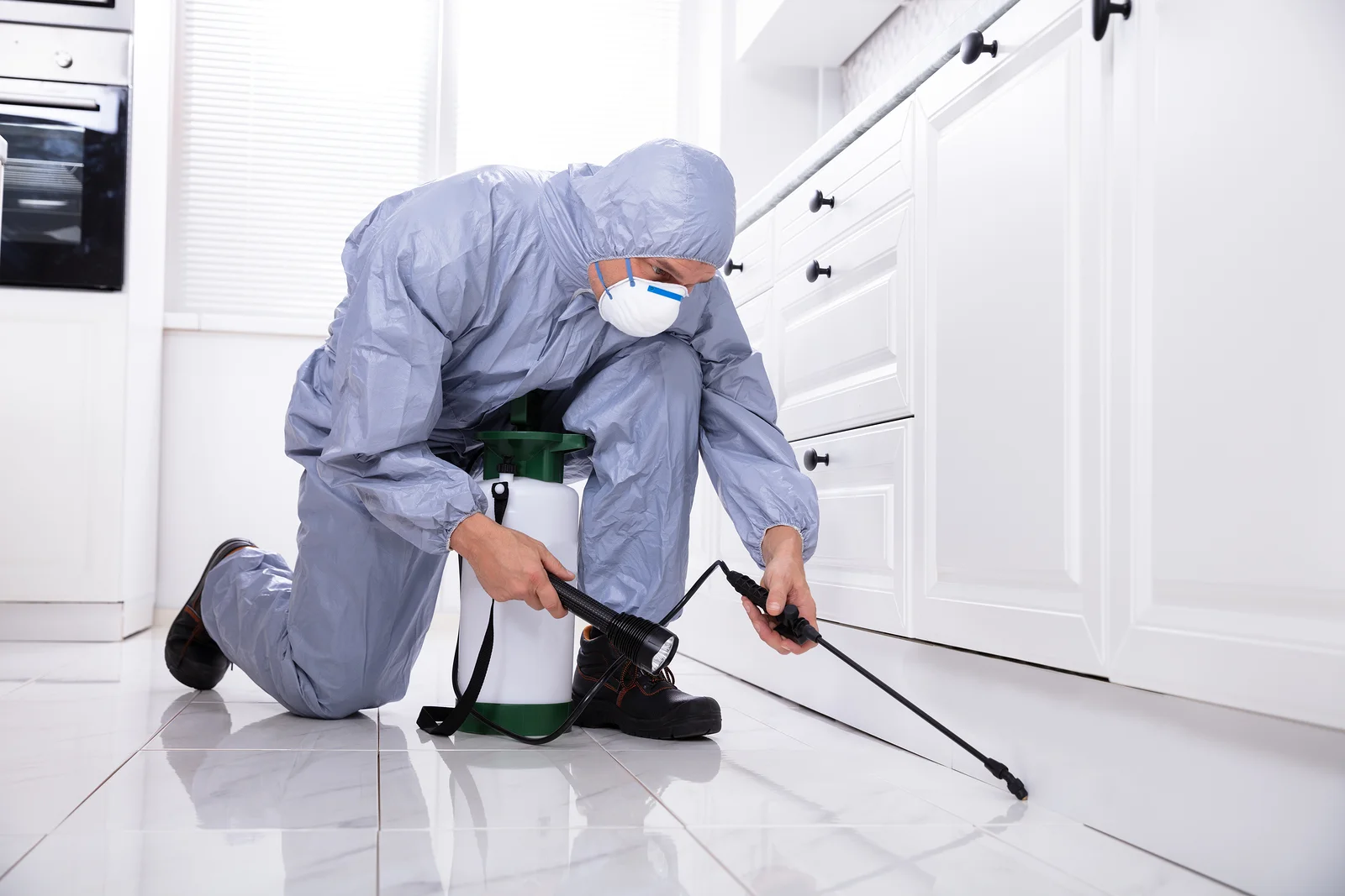 Pest control Coimbatore